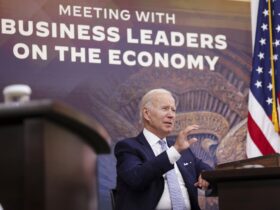 Biden Administration's Economic Strategy: Betting on a Soft Landing Amid Recession Fears