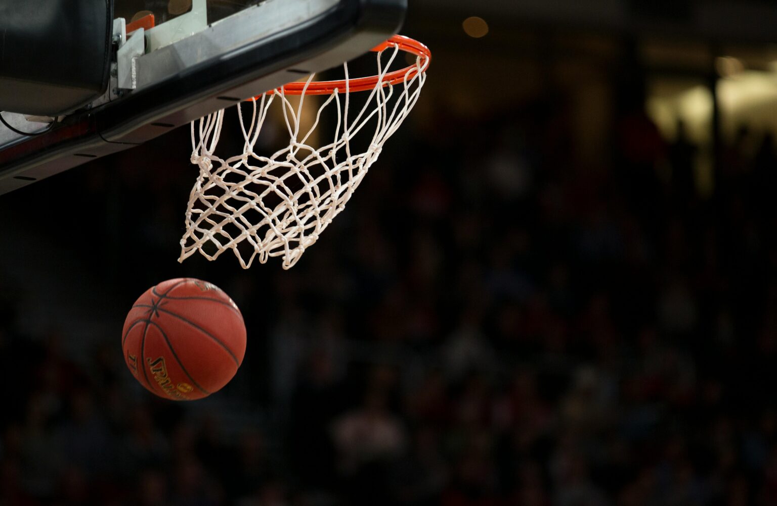 NBA Player Contracts 2026 Supermax Guide Unicorn Blogger nba-player-contracts-2026-supermax-guide-unicorn-blogger