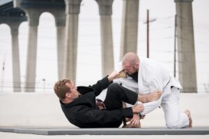 UFC 330 preview — MMA fighters competing inside the octagon cage